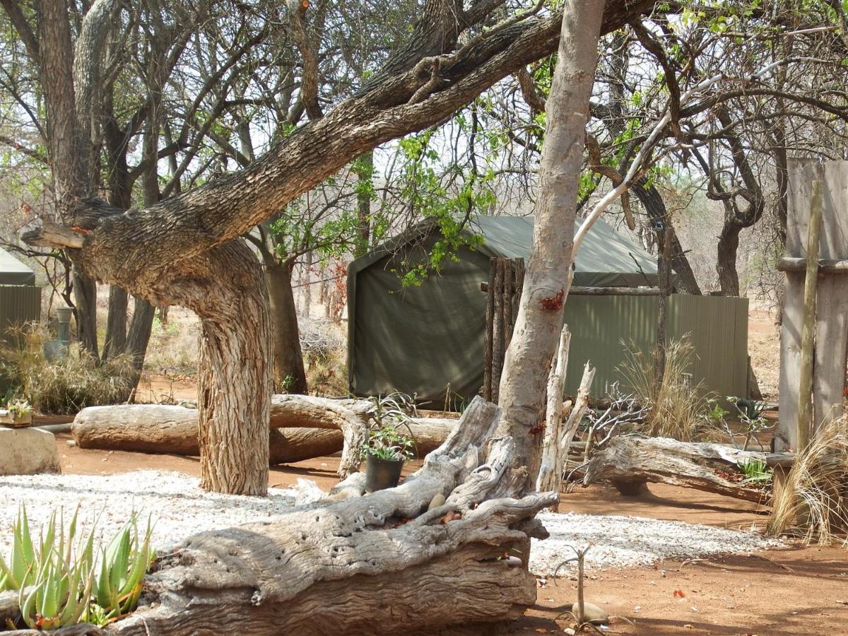 巴卢莱自然保护区 Ndzuti Bush Camp酒店 外观 照片